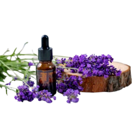 lovely lavender fragrance