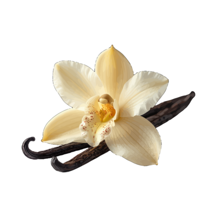 vanilla flavour